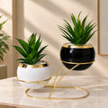 Twin Spherical Planter Set