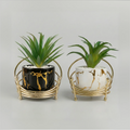Lava Gold Wire Planters