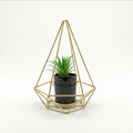 Geometric Diamond Planter
