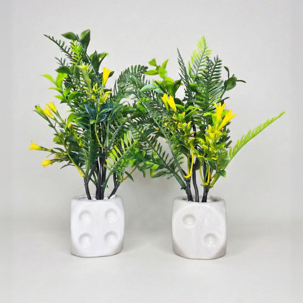 White Dice Plant