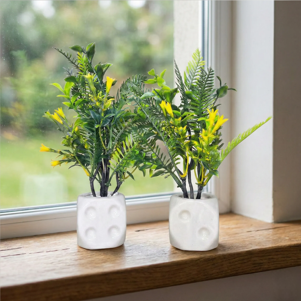 White Dice Plant