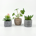 Mini Faux Plants (Pack of 3)